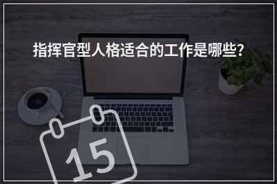 指挥官型人格适合的工作是哪些？